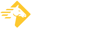 Paladin Security