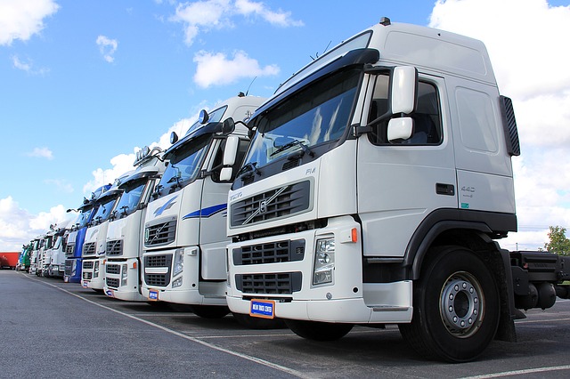 News about customs compliance software